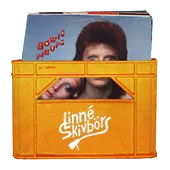 Skivback med Linné Skivbörs-loggan, fylld med LP-skivor
